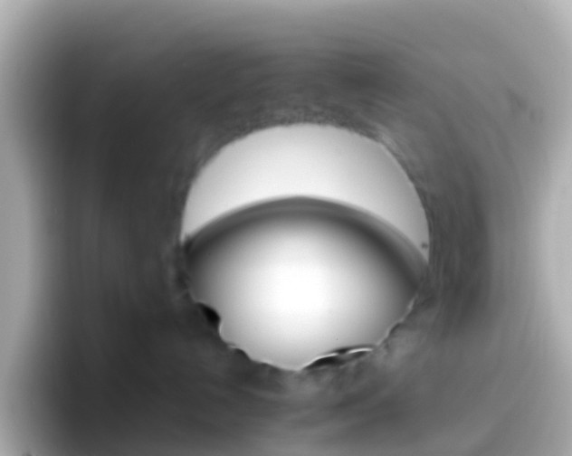 X0000096690192200802121240