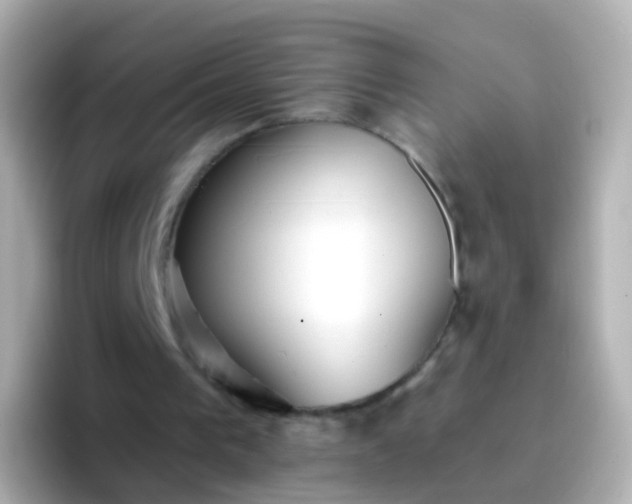 X0000096690193200802121239