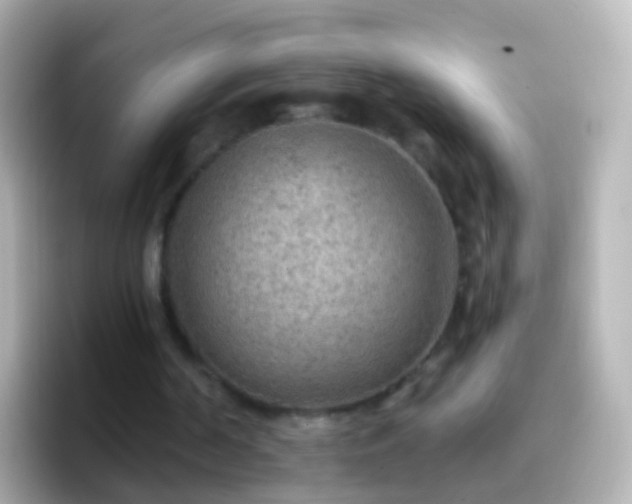 X0000096690194200802121239