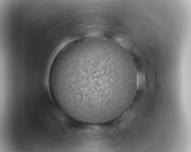 X0000096690195200802121239