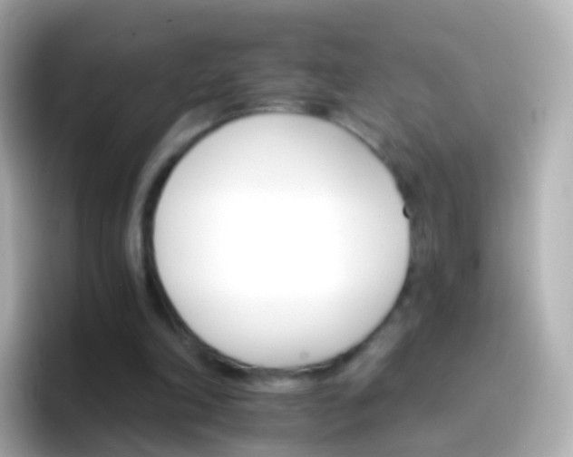 X0000096690198200802121239