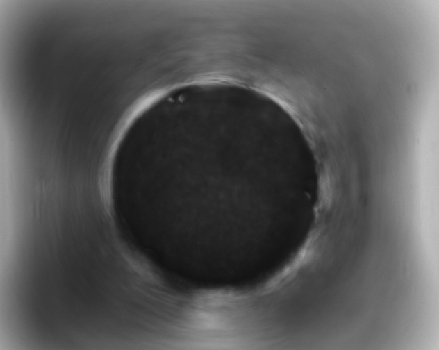 X0000096690200200802121239