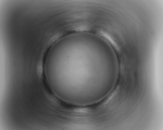 X0000096690202200802121239