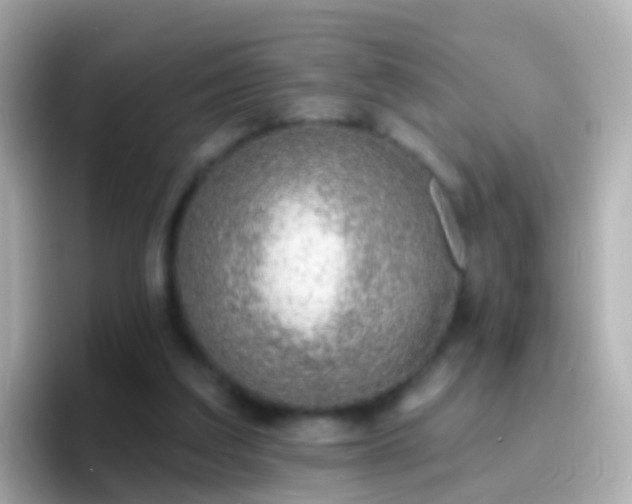 X0000096690203200802121239