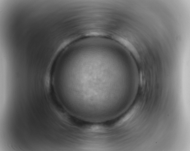 X0000096690204200802121239