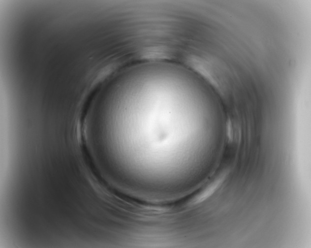 X0000096690205200802121239