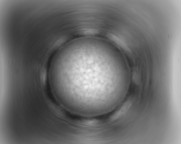 X0000096690206200802121239