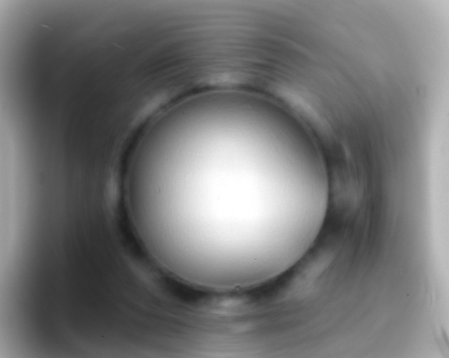 X0000096690208200802121239