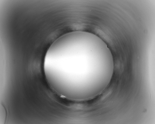 X0000096690209200802121239