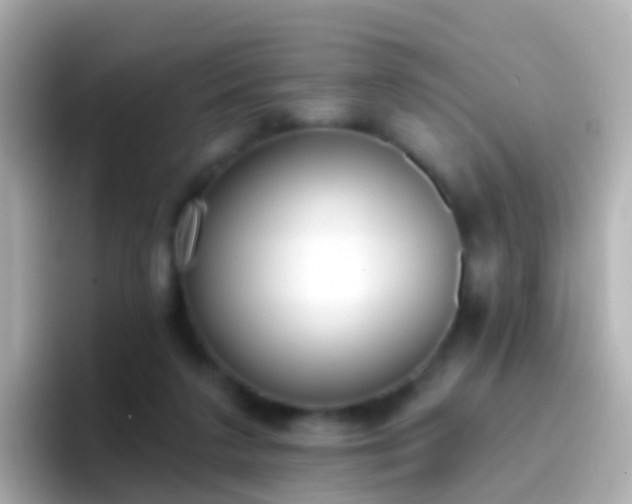 X0000096690211200802121239