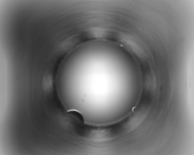 X0000096690213200802121239