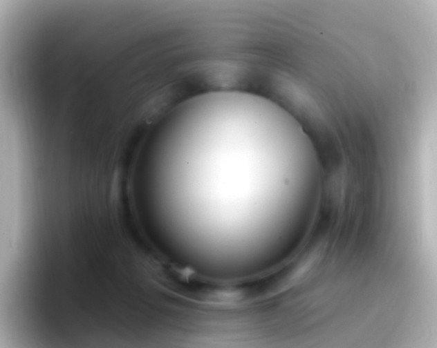 X0000096690217200802121239