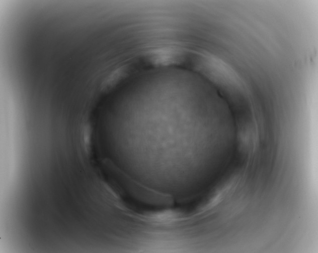 X0000096690219200802121239