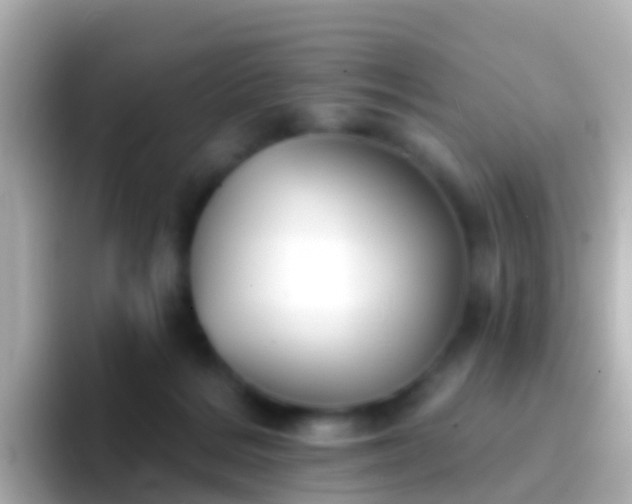 X0000096690220200802121239