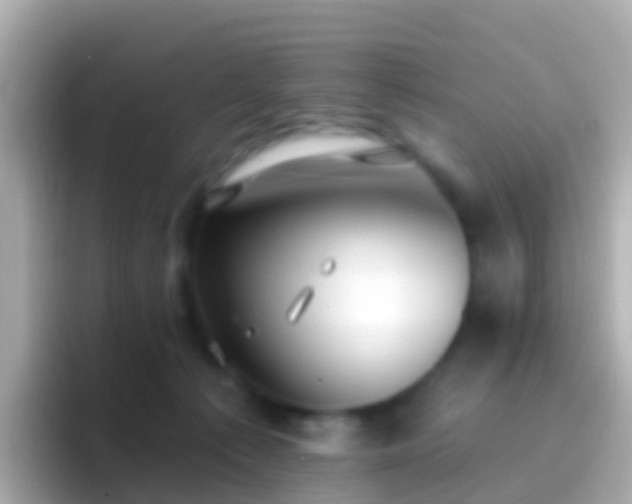 X0000096690225200802121239