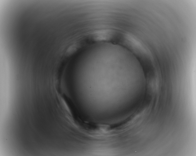 X0000096690227200802121239