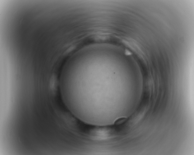 X0000096690228200802121239