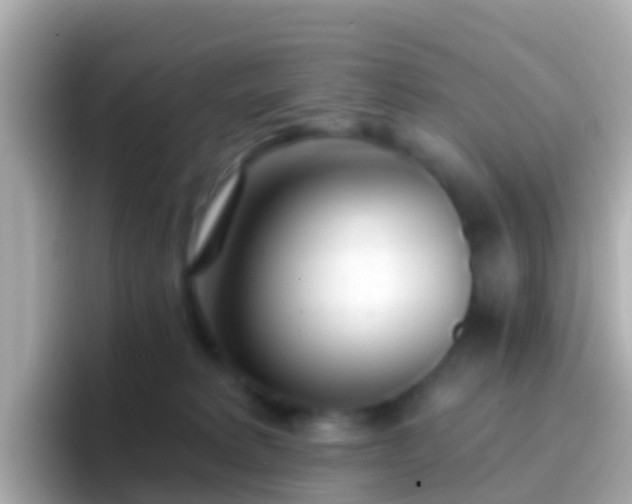 X0000096690229200802121239