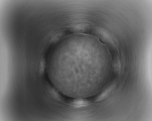 X0000096690231200802121239