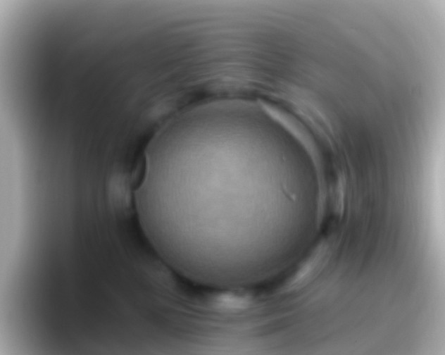 X0000096690232200802121239