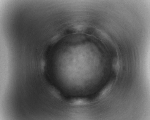 X0000096690235200802121239