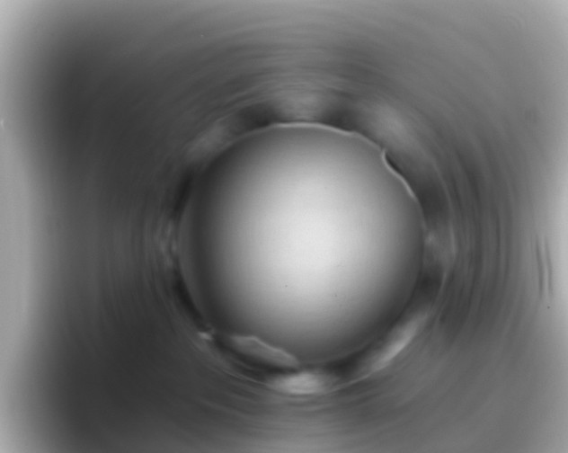 X0000096690237200802121239