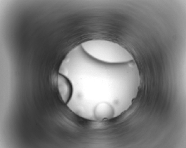 X0000096690238200802121239