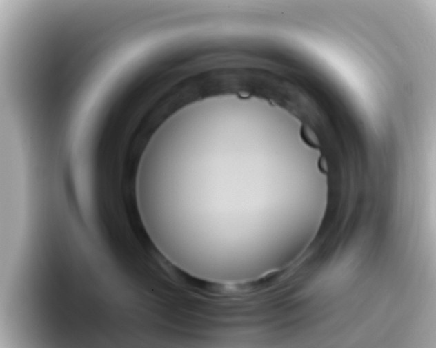 X0000096690239200802121239