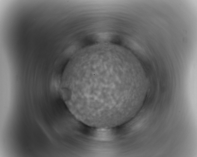 X0000096690240200802121239