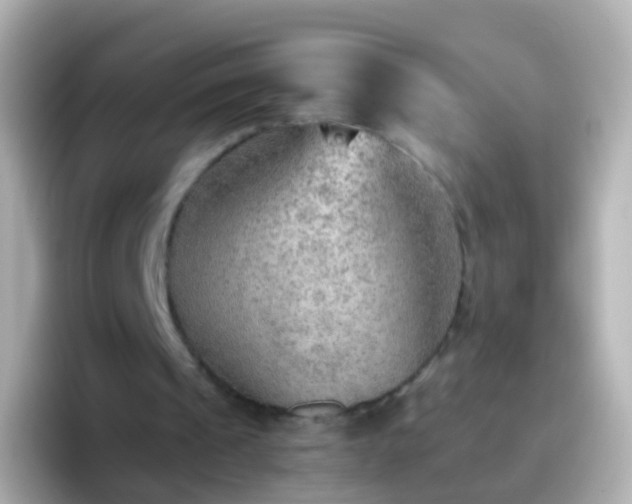 X0000096690241200802121238