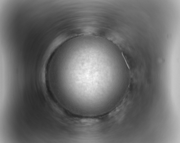 X0000096690242200802121238