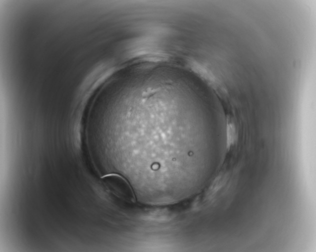 X0000096690243200802121238