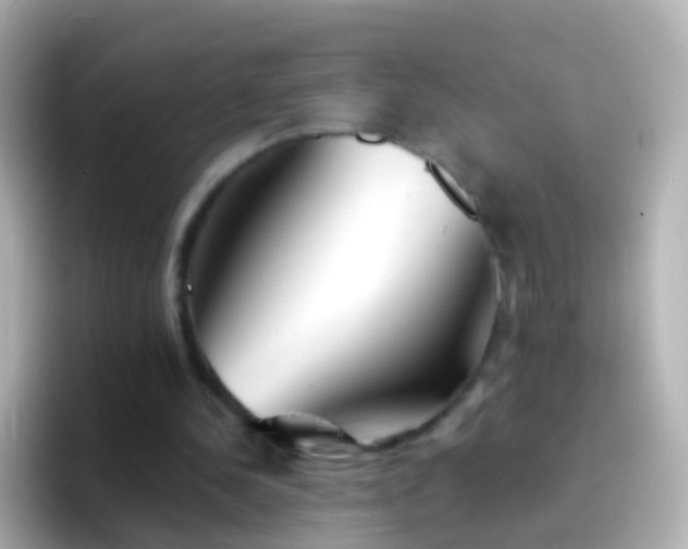 X0000096690244200802121238