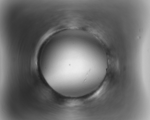 X0000096690246200802121238