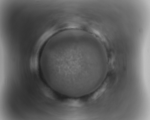 X0000096690247200802121238