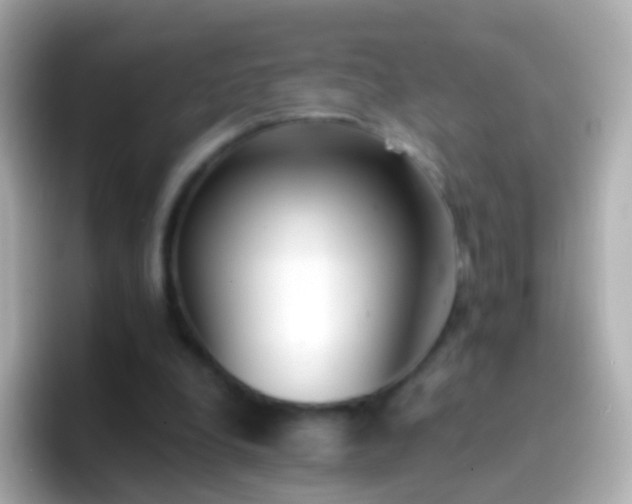 X0000096690248200802121238