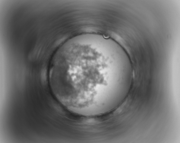 X0000096690249200802121238