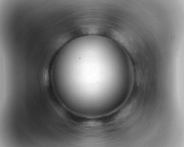 X0000096690251200802121238