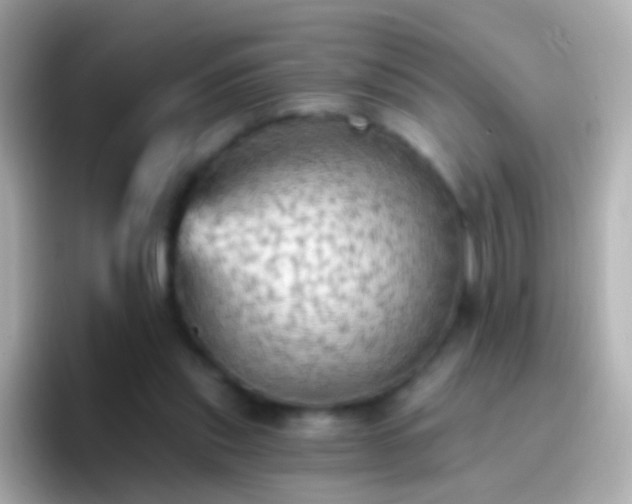 X0000096690253200802121238