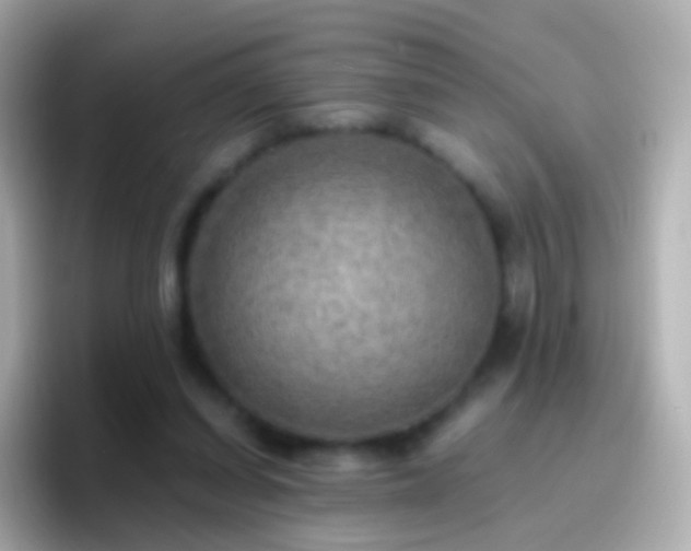 X0000096690254200802121238