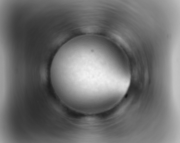 X0000096690255200802121238