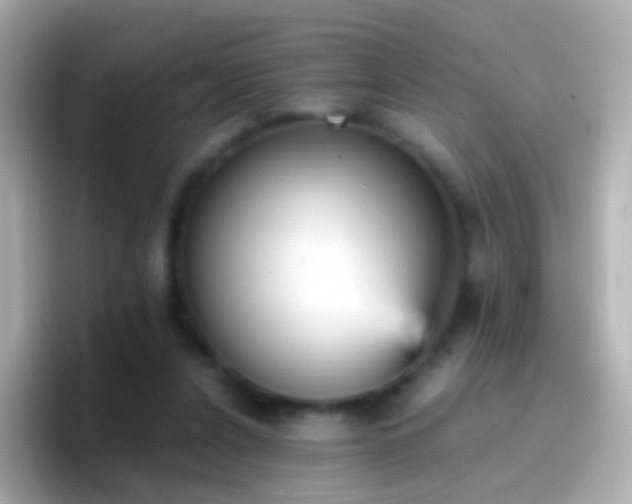 X0000096690256200802121238