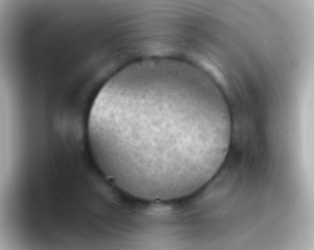 X0000096690257200802121238