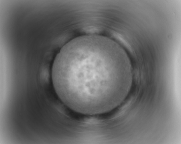 X0000096690259200802121238