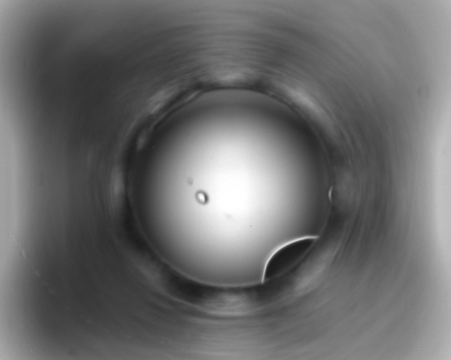 X0000096690260200802121238