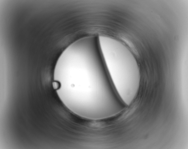 X0000096690261200802121238