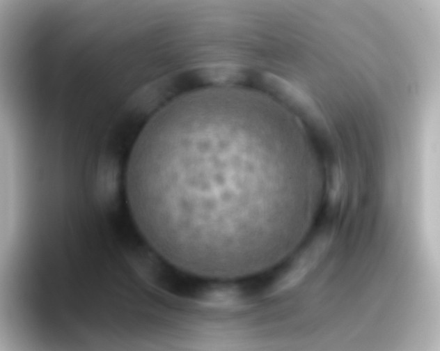 X0000096690263200802121238