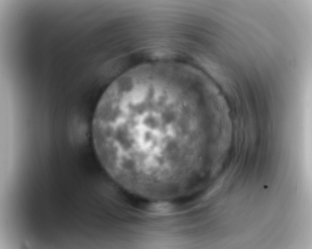 X0000096690269200802121238