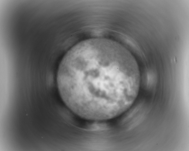 X0000096690270200802121238