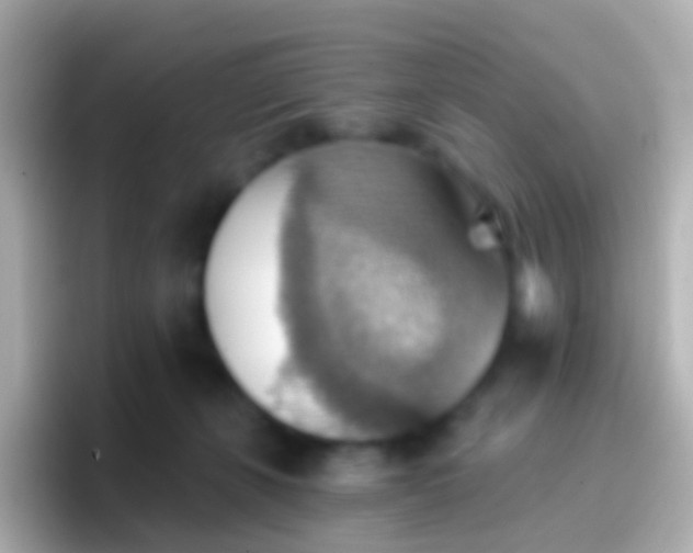 X0000096690271200802121238